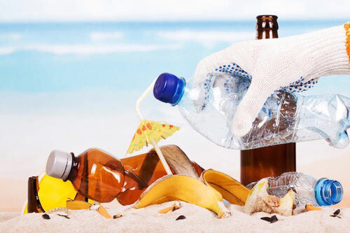 森林城市運(yùn)營部和項(xiàng)目部的同事及家屬自發(fā)組織凈灘行動(dòng)