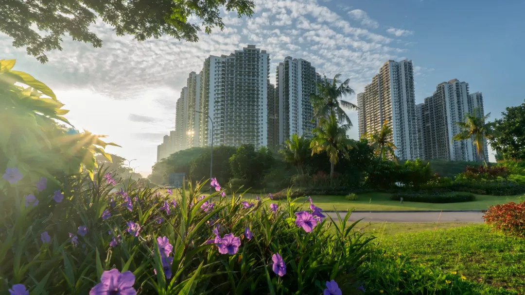 森林城市讓愛(ài)與綠意同行