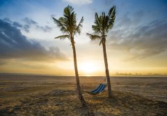 碧桂園森林城市的黃昏！